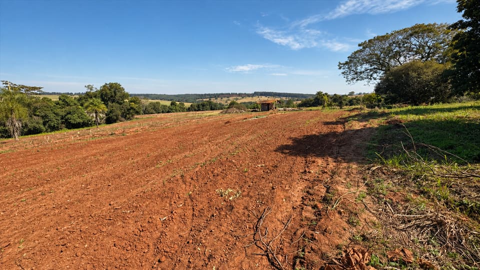 Tierra roja preparada para el cultivo, con monte y horizonte al fondo y cielo azul