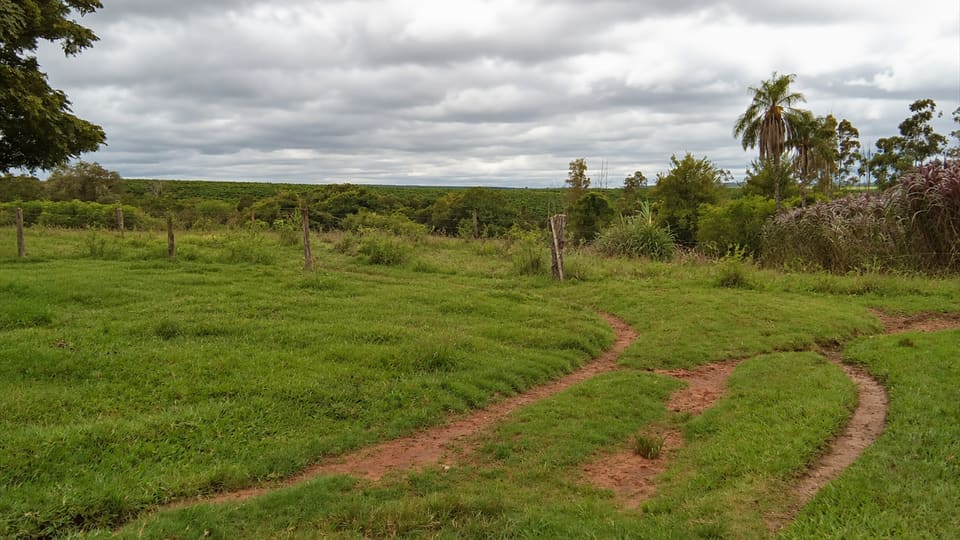 Pastizal verde con senderos de tierra en curva, cerca y palmeras al fondo, bajo cielo nublado